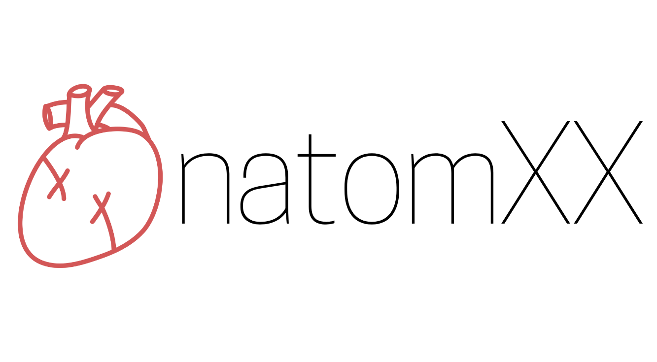 logo of anatomXX